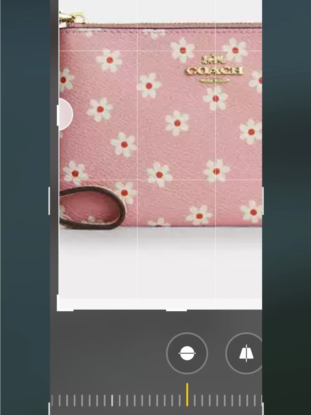 Coach Pink Floral Daisy Compact Wallet